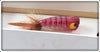 Heddon Brown/Purple Popper Spook In Box