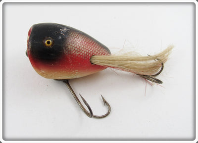 Creek Chub Redside Surface Dingbat 5405 Special