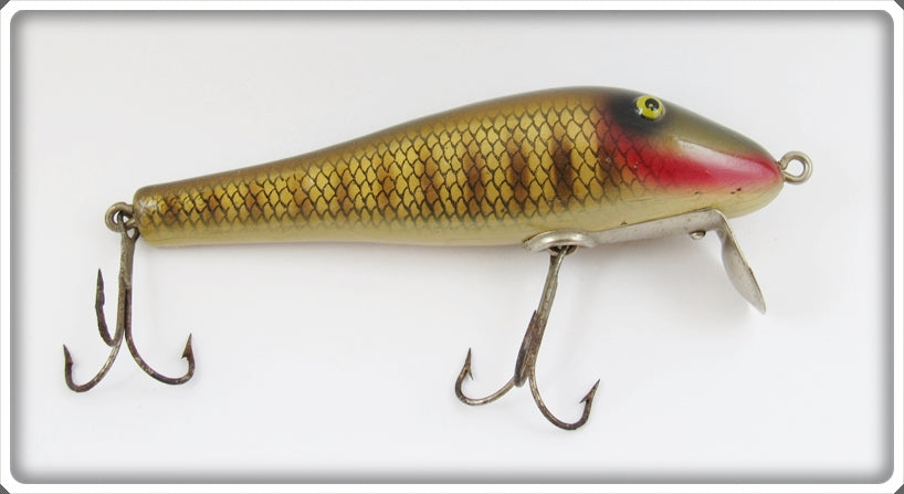 antique paw paw fishing lures Vintage Paw Paw Gold Scale Old Chub Sucker 4007 Lure For Sale