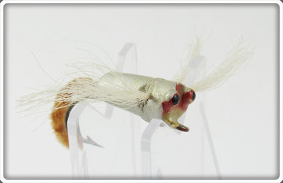 Peck's Silver Dragon Bug Dragonfly