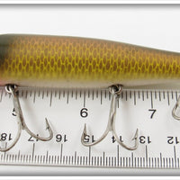 Creek Chub Golden Shiner Darter 2004 Special