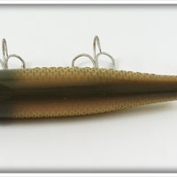 Creek Chub Golden Shiner Darter 2004 Special