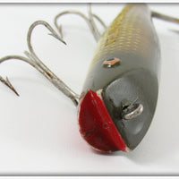 Creek Chub Golden Shiner Darter 2004 Special