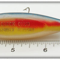 Creek Chub Rainbow Baby Injured Minnow 1608 P Special