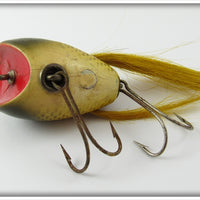 Creek Chub Golden Shiner Surface Dingbat