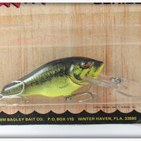 Bagley Deep Diver Small Fry Bass On Card