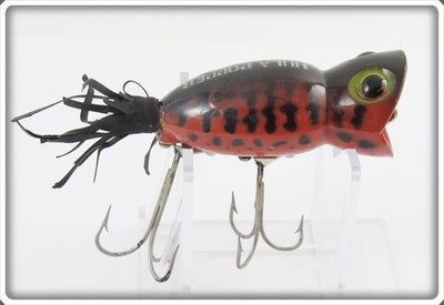 Arbogast Orange Coachdog Fluorescent Red Coachdog Hula Popper