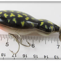 Mann's Black Coachdog Frog Mann In Box