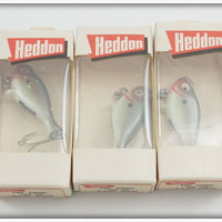 Heddon Dealer Box Of 12 Shad Top Sonic Lures Unused In Boxes