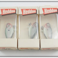 Heddon Dealer Box Of 12 Shad Top Sonic Lures Unused In Boxes