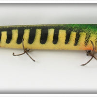 Unknown Striped Smiling Minnow