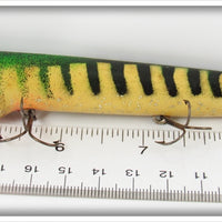 Unknown Striped Smiling Minnow