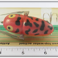 Heddon 14 Karat Coachdog Crazy Crawler On Card