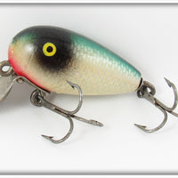 Shur Strike Blue Back Small Dude