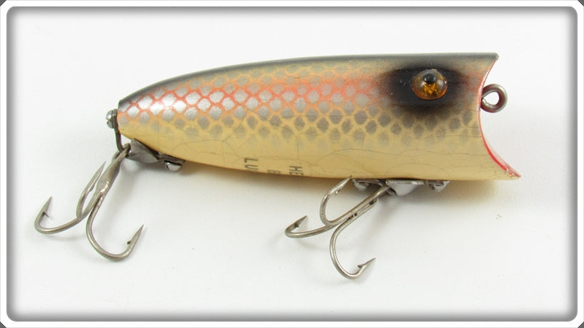 Vintage Heddon Shiner Scale Baby Lucky 13 Lure 2409P 