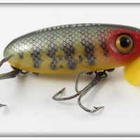 Vintage Fred Arbogast Perch Plastic Lip Jitterbug Lure