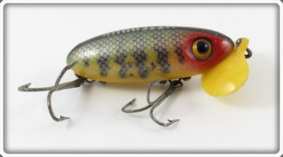 Vintage Fred Arbogast Perch Plastic Lip Jitterbug Lure