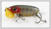Arbogast Perch Plastic Lip Jitterbug