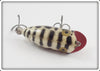 Heddon White Coachdog Tiny Lucky 13