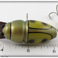 Creek Chub Green Beetle Midget Beetle In Box