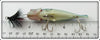 Buckeye Bait Corp Larger Bass Size Bluefish Bug N Bass
