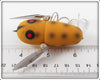 Heddon Yellow Black Spots Crazy Crawler