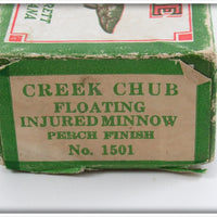 Creek Chub Perch Injured Minnow In Box 1501