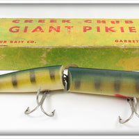 Vintage Creek Chub Perch Giant Jointed Pikie Lure In Box 801