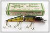 Vintage Creek Chub Perch Jointed Husky Pikie Lure In Box 3001 