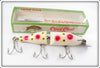 Creek Chub Strawberry Jointed Striper Pikie In Box 6843 W