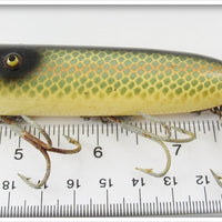 Heddon Shiner Scale Saltwater Basser In Box