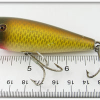 Creek Chub Golden Shiner Early Round Nose Plunker
