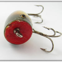 Creek Chub Golden Shiner Early Round Nose Plunker