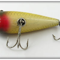 Creek Chub Golden Shiner Early Round Nose Plunker
