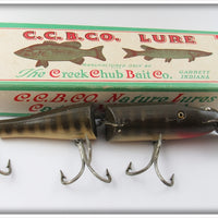 Creek Chub Pikie Scale Jointed Husky Pikie In Box 3000 
