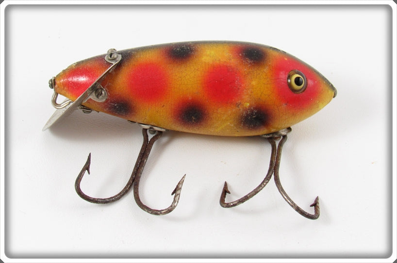 Vintage Heddon Spotted Baby Crab Wiggler Lure 1900S