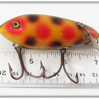 Heddon Spotted Baby Crab Wiggler