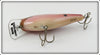 Foster Baits Boots Anderson Signed Tennessee Shad In Tube