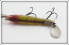 Heddon Perch Dowagiac Spook In Correct Box 9100L