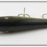 Creek Chub Perch Skipper