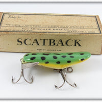 Vintage Mermade Bait Co Frog Scatback Lure In Box BF-10 
