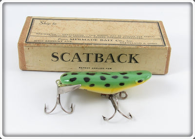 Vintage Mermade Bait Co Frog Scatback Lure In Box BF-10 