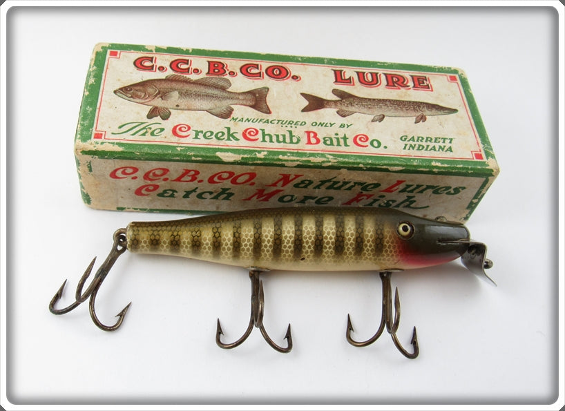 Vintage Creek Chub Pikie Scale Pikie Lure In Box 700