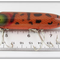 Glen Evans Brown Coachdog Bass Oreno In Box