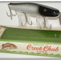 Vintage CCBC Creek Chub Silver Shiner Surfster Lure In Box 7203