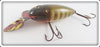 CCBC Pikie Scale With Van Houton Lip Baby Wiggler 200