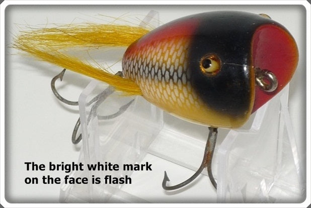 CCBC Creek Chub White Scale Surface Dingbat 5425