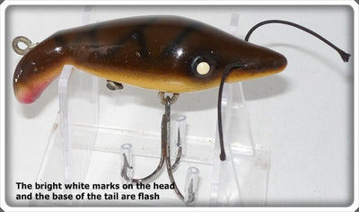 Paw Paw Brown & Black Crawdad