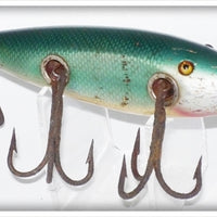 Creek Chub Mullet Husky Injured Minnow