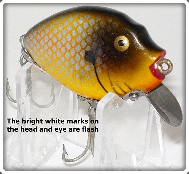 Heddon Golden Shiner Punkinseed 9630 PG